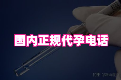 江苏助孕网 2