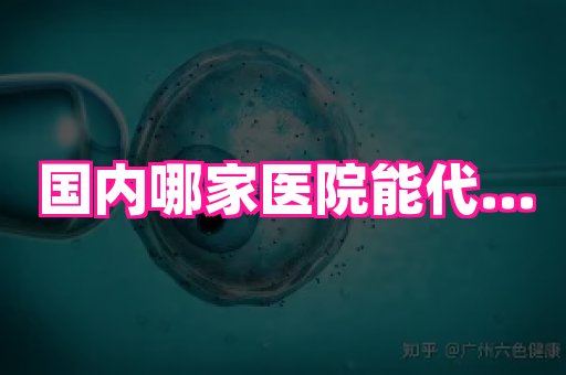 江苏助孕网 4